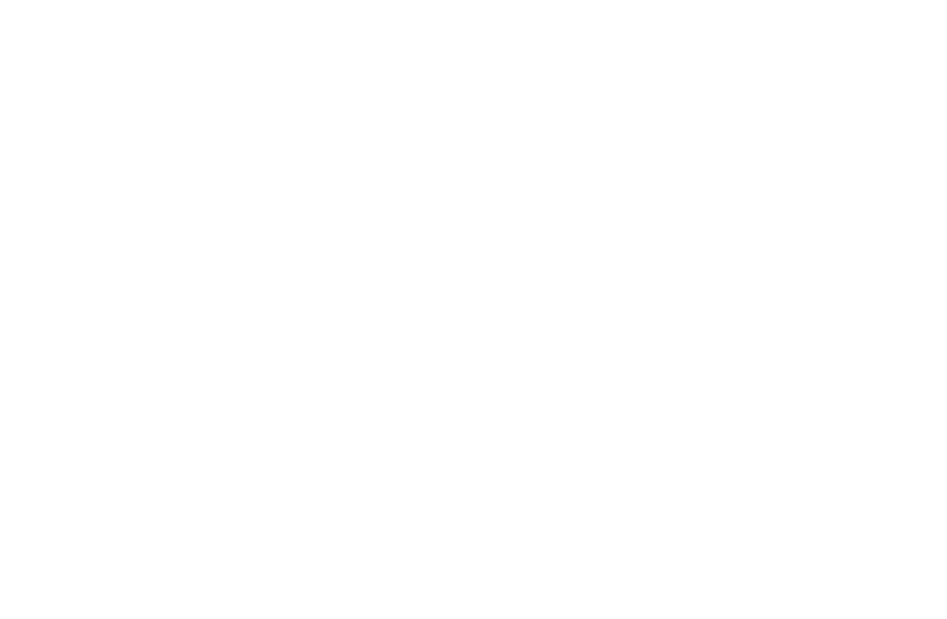 Logo Mavigex